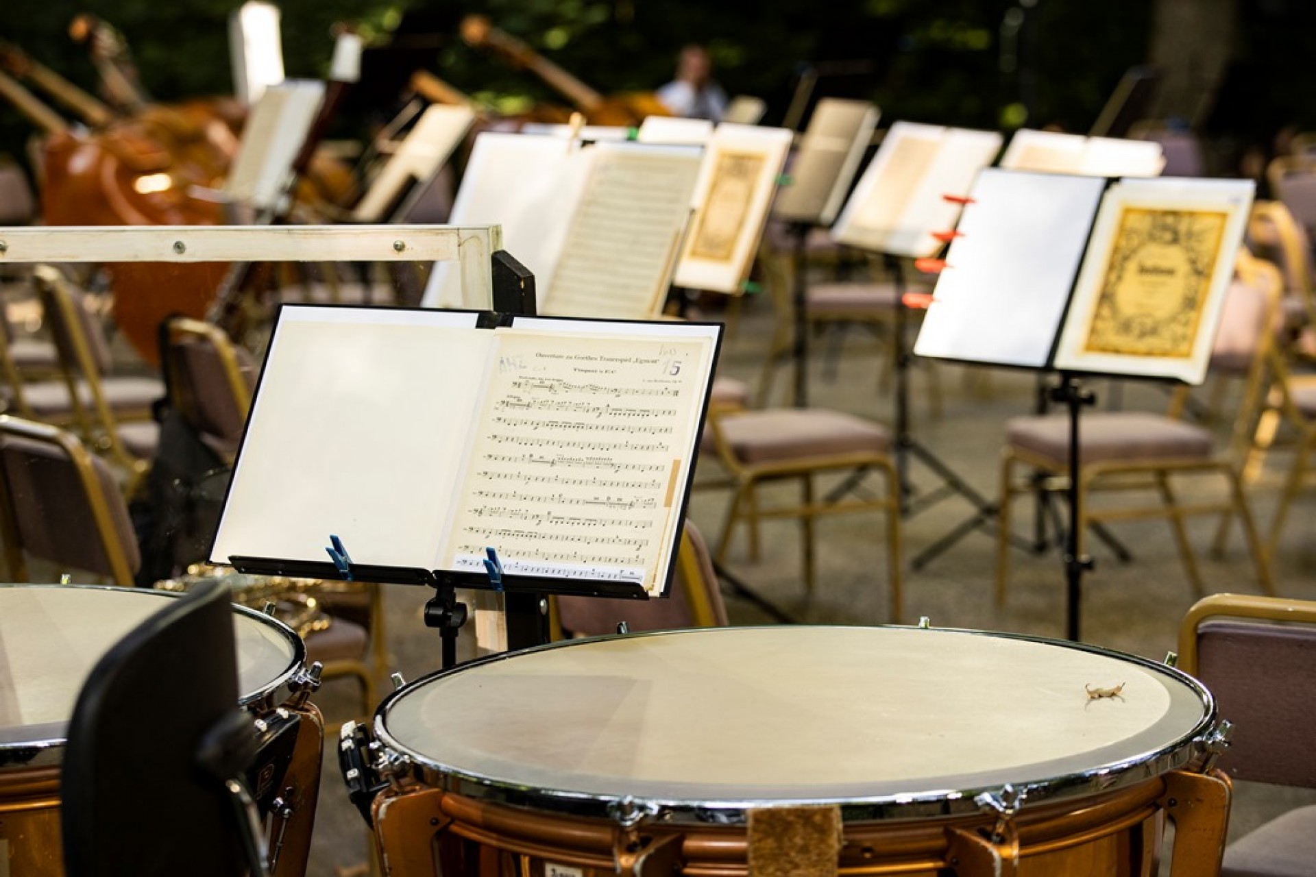 Beethoven a természet ölén, újra Martonvásáron